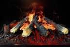 Очаг Royal Flame Design L560RF 3D LOG