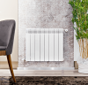 Биметаллический радиатор отопления Fondital 500/100 Alustal Plus 8 секций