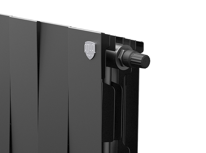 Биметаллический радиатор отопления Royal Thermo PianoForte 200 20 секций Noir Sable VDR