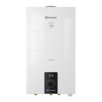 Газовый проточный водонагреватель Thermex T 20 D
