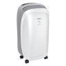 Осушитель воздуха Funai RAD-N10T3E Neko S