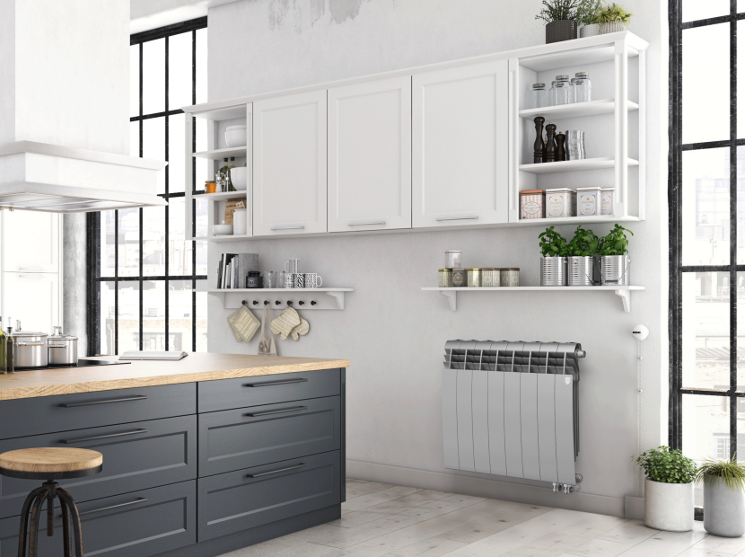 Биметаллический радиатор отопления Royal Thermo BiLiner 500 VR 12 секций Silver Satin