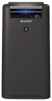 Климатический комплекс Sharp KC-G41 RH