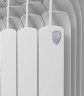Биметаллический радиатор отопления Royal Thermo Vittoria Super 500 VDR (15 секций)